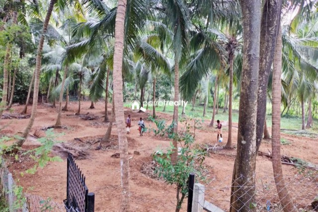  9090 Sq.ft. Residential Plot for Sale in Horamavu, Bangalore