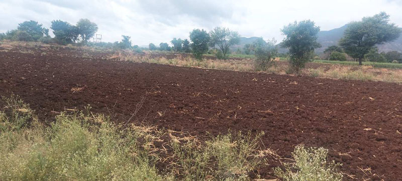  10 Cent Agricultural/Farm Land for Sale in Thenkurissi, Palakkad