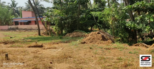  7 Cent Agricultural/Farm Land for Sale in Vadakkencherry, Palakkad