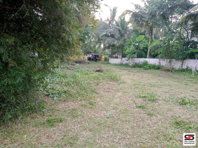  100 Cent Agricultural/Farm Land for Sale in Kotta Maithanam, Palakkad