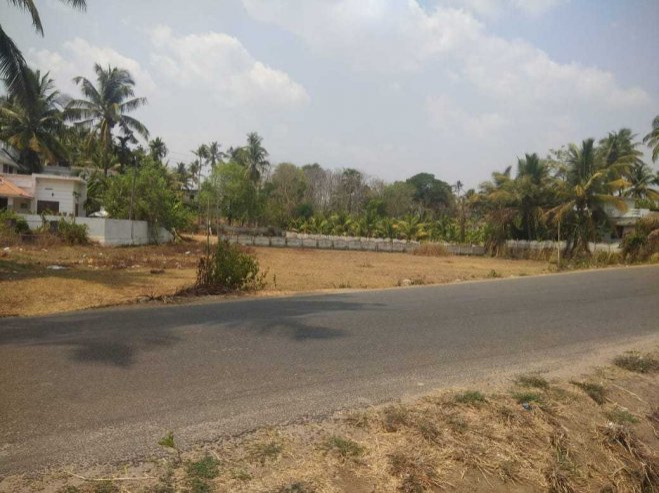  9 Cent Residential Plot for Sale in Kottayi, Palakkad