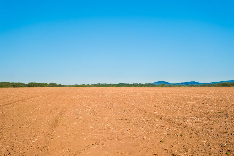  120 Cent Agricultural/Farm Land for Sale in Ramanathapuram, Palakkad