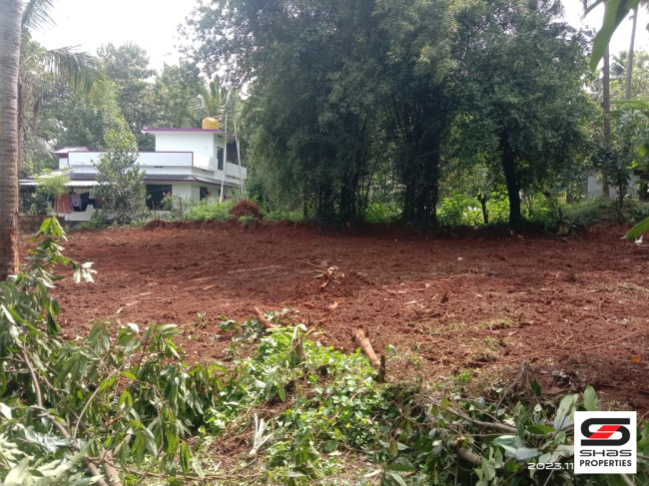  8 Cent Residential Plot for Sale in Kannadi, Palakkad