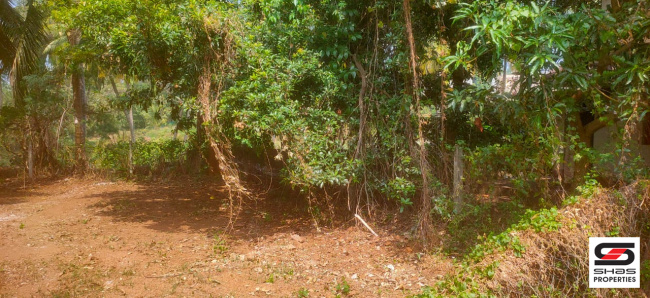  20 Cent Residential Plot for Sale in Vadakkencherry, Palakkad