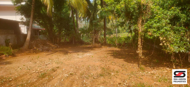  20 Cent Residential Plot for Sale in Vadakkencherry, Palakkad