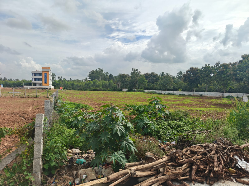  1 Acre Agricultural/Farm Land for Sale in Hoskote, Bangalore