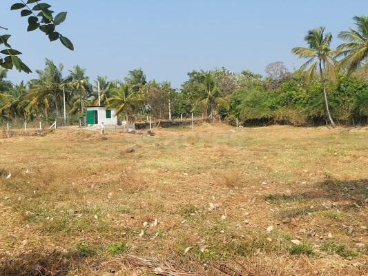  12 Cent Residential Plot for Sale in Mankurussi, Palakkad