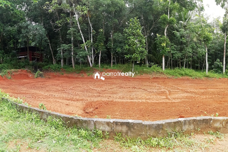  120 Cent Residential Plot for Sale in Mudappallur, Palakkad