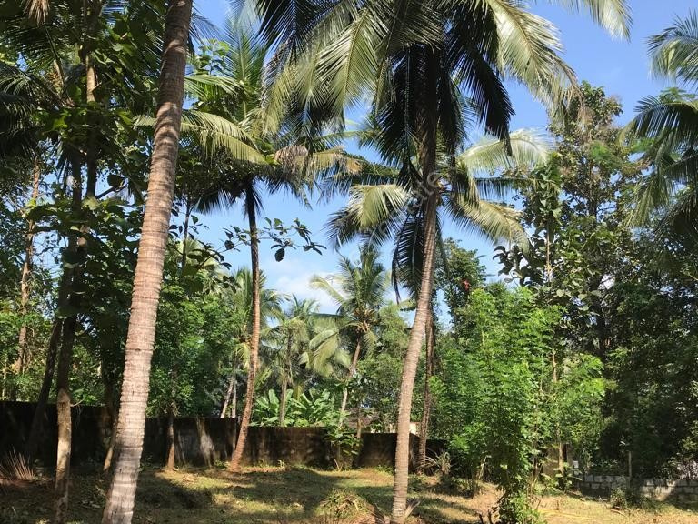  1550 Sq.ft. Residential Plot for Sale in Hennur, Bangalore