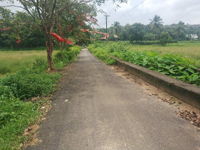 Farm Land for Sale in Thiruvilwamala Thrissur Thrissur (REI979989)