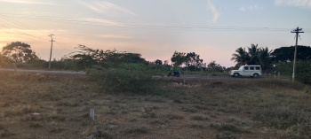  Agricultural Land for Sale in Palamedu, Madurai