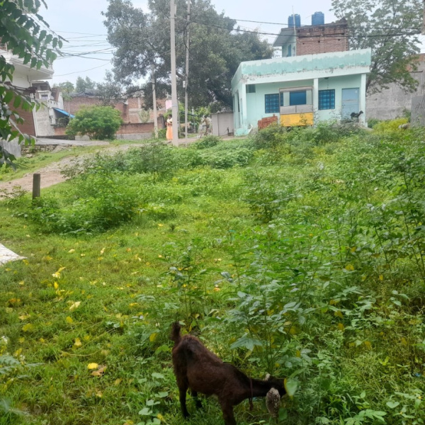  Residential Plot 2100 Sq.ft. for Sale in Madhoganj, Hardoi