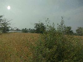  Industrial Land for Sale in Chettipalayam, Tirupur
