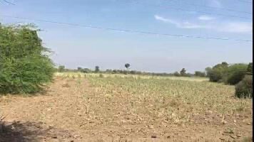  Industrial Land for Sale in Vithalapur, Ahmedabad