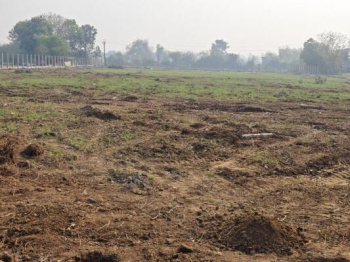  Industrial Land for Sale in Kalol GIDC, Vadodara
