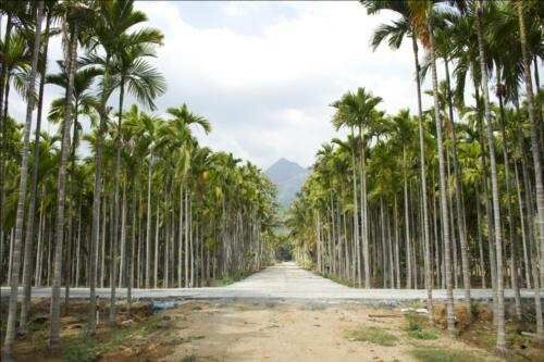  Residential Plot 200 Sq. Yards for Sale in Madhurawada, Visakhapatnam