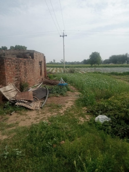  Agricultural Land for Sale in Loharu, Bhiwani