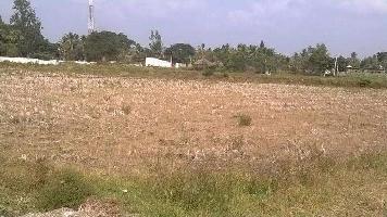  Commercial Land for Rent in Karad, Satara