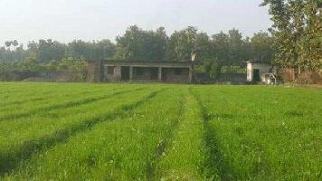 3 BHK Farm House for Sale in Biharigarh, Dehradun