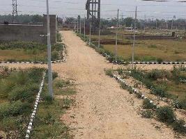  Residential Plot for Sale in Chorala, Chandrapur