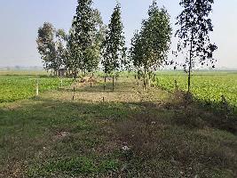  Industrial Land for Sale in Barwala, Panchkula