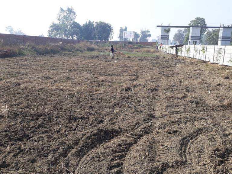  Residential Plot 1464 Sq.ft. for Sale in Nadiha, Durgapur