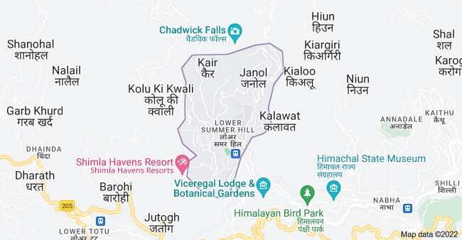  Commercial Land 6 Biswa for Sale in Summer Hill, Shimla