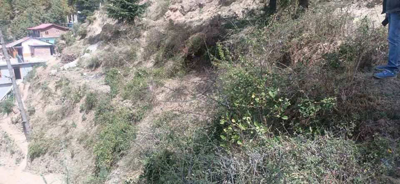  Commercial Land 6 Biswa for Sale in Summer Hill, Shimla