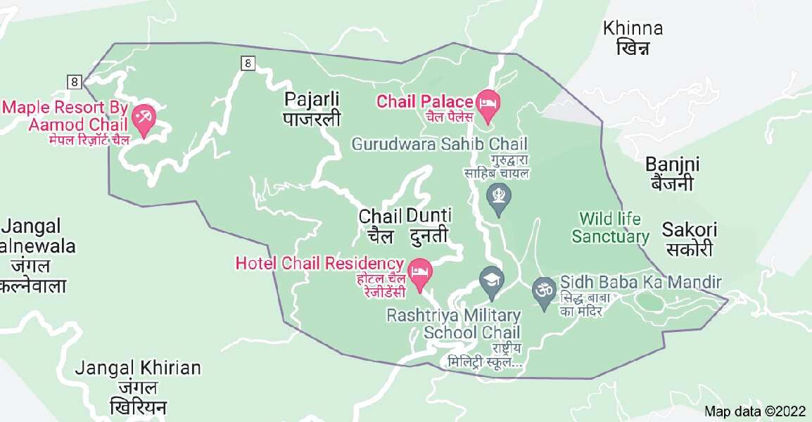  Commercial Land 10 Biswa for Sale in Chail, Shimla