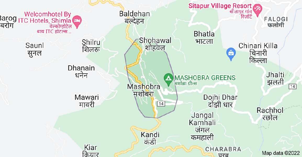  Agricultural Land 3 Bigha for Sale in Mashobra, Shimla