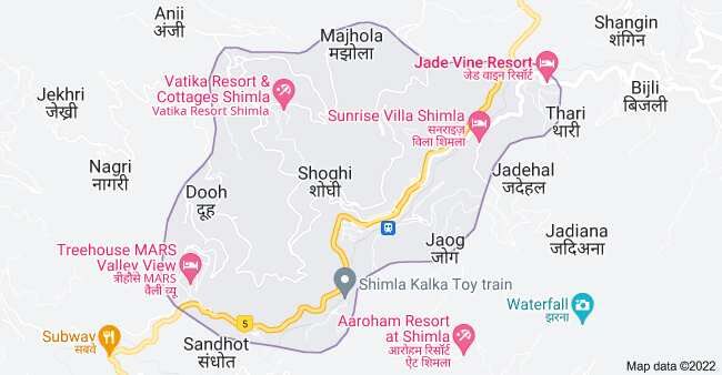  Commercial Land 11 Biswa for Sale in Shoghi, Shimla