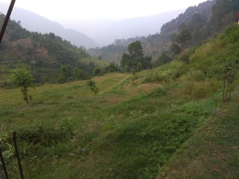  Commercial Land for Sale in Sanjauli, Shimla