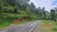  Agricultural Land for Sale in Chail, Shimla