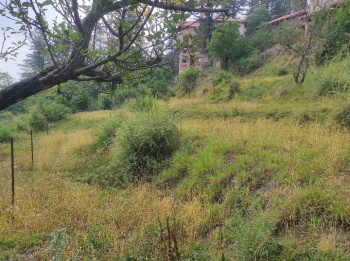  Commercial Land for Sale in Mashobra, Shimla