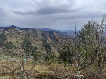  Agricultural Land for Sale in Theog, Shimla