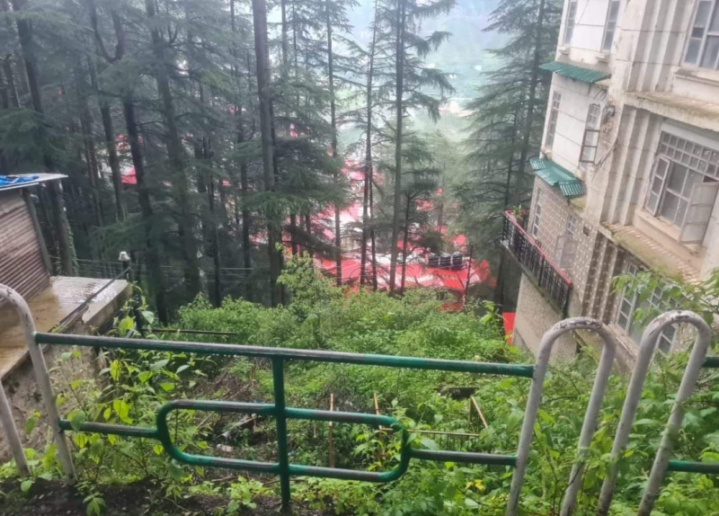  Residential Plot 5 Biswa for Sale in Chotta Shimla