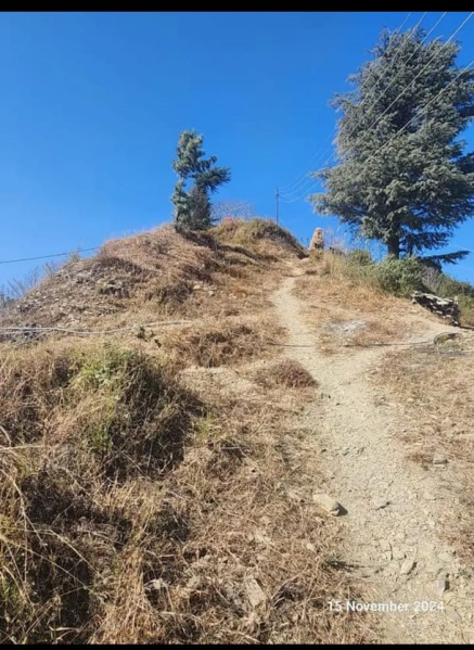  Residential Plot 5 Bigha for Sale in Theog, Shimla