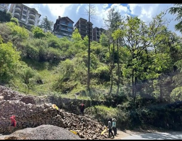  Commercial Land 6 Bigha for Sale in Summer Hill, Shimla