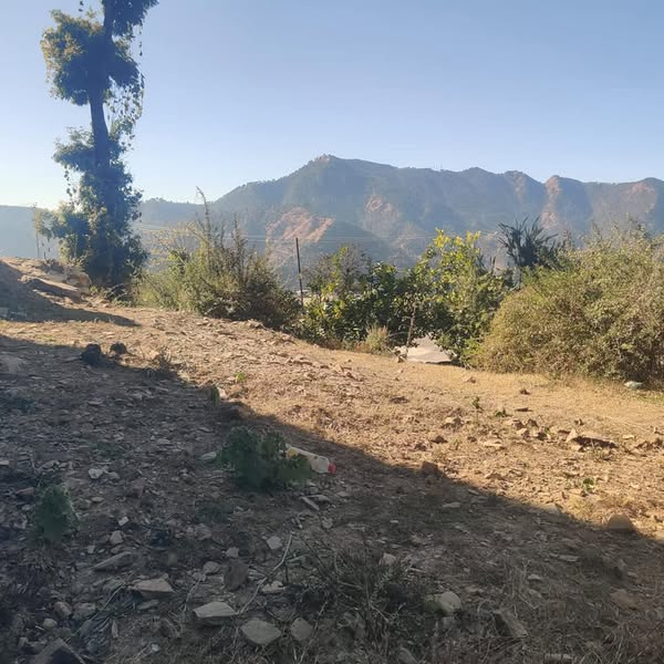  Residential Plot 12 Biswa for Sale in Beolia, Shimla