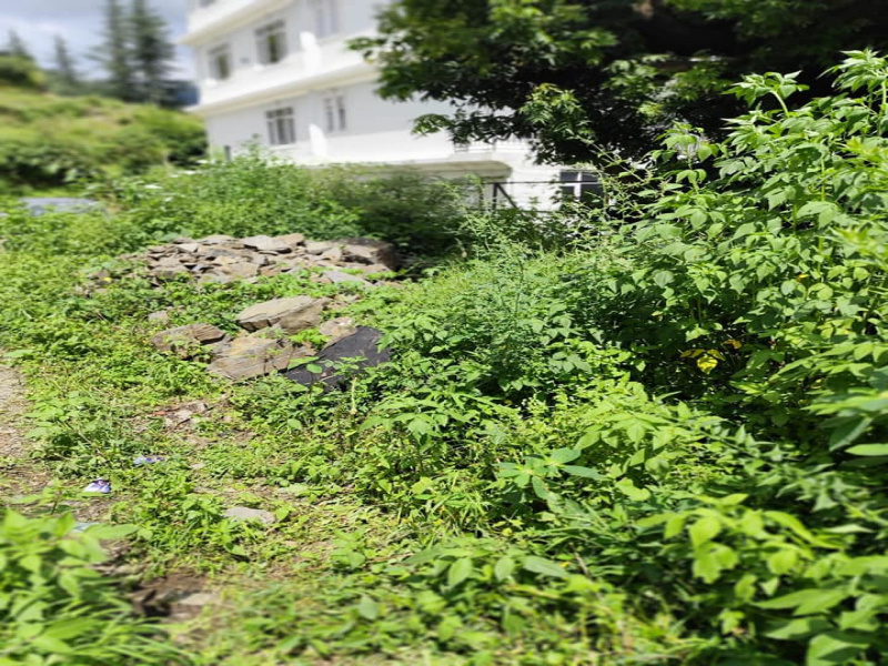  Residential Plot 4 Biswa for Sale in Bhattakufer, Shimla