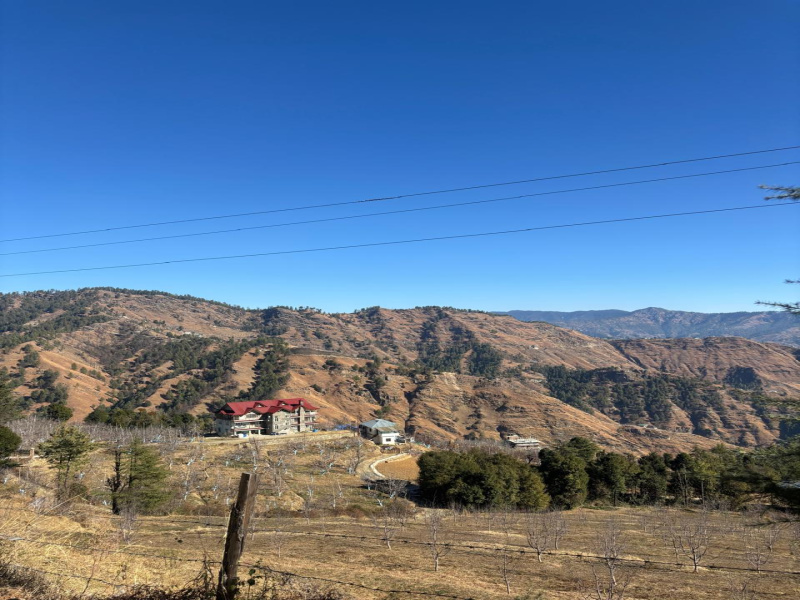  Agricultural Land 10 Bigha for Sale in Narkand, Shimla