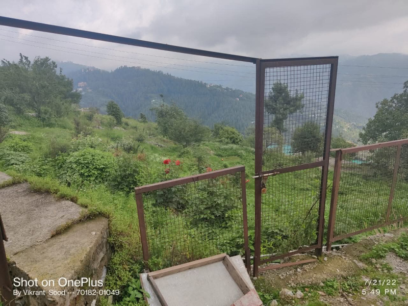  Commercial Land 42 Biswa for Sale in Mashobra, Shimla