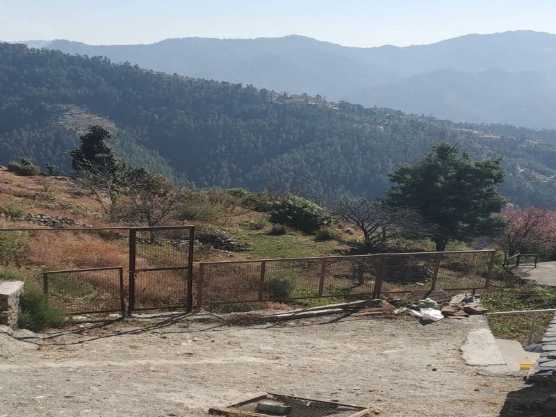 Commercial Land 42 Biswa for Sale in Mashobra, Shimla