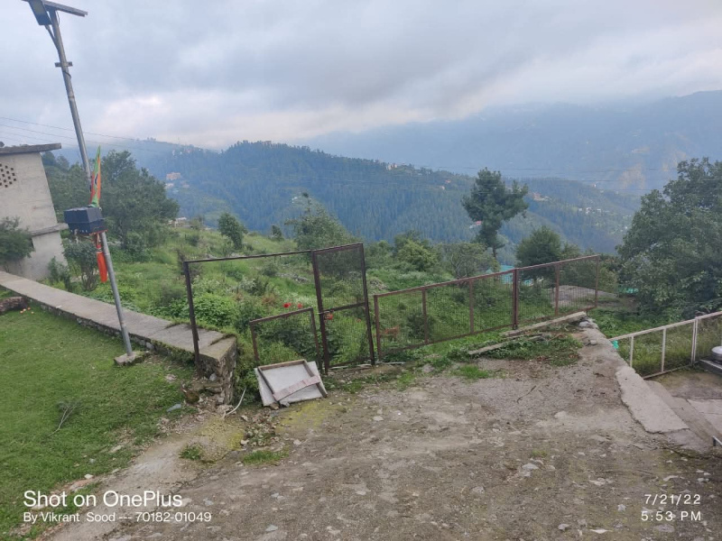  Commercial Land 42 Biswa for Sale in Mashobra, Shimla