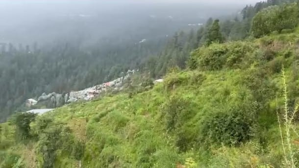  Residential Plot 8 Biswa for Sale in Kufri, Shimla