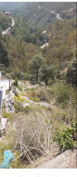 Residential Plot 4 Biswa for Sale in Lower Bazar, Shimla