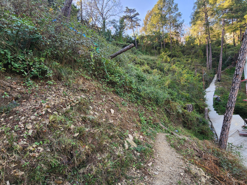  29 Biswa Commercial Land for Sale in Tutikandi, Shimla