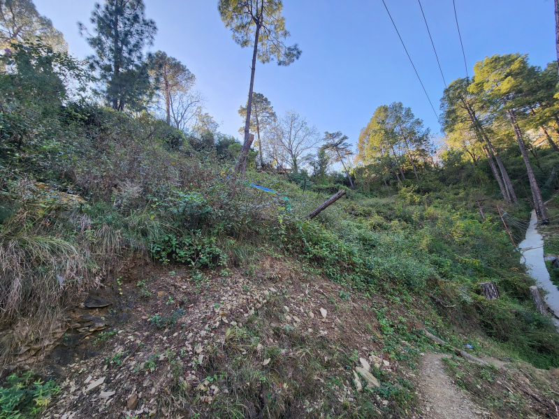  29 Biswa Commercial Land for Sale in Tutikandi, Shimla
