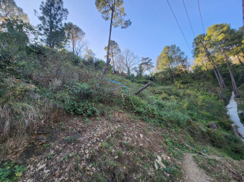  Commercial Land for Sale in Tutikandi, Shimla