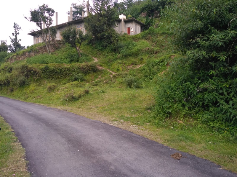  14 Biswa Residential Plot for Sale in Hira Nagar, Shimla